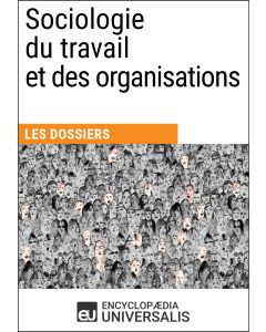 Sociologie du travail et des organisations