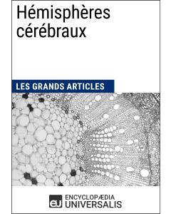 Hémisphères cérébraux 