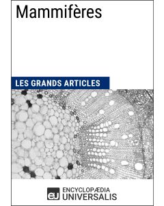 Mammifères 