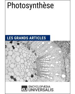 Photosynthèse 