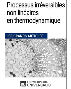 Processus irréversibles non linéaires en thermodynamique 