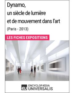 Dynamo, un siècle de lumière et de mouvement dans l'art (Paris - 2013)