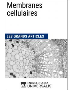 Membranes cellulaires 