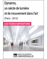 Dynamo, un siècle de lumière et de mouvement dans l'art (Paris - 2013) 