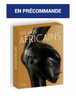 Les arts africains 