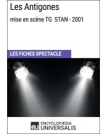 Les Antigones (mise en scène TG STAN - 2001)