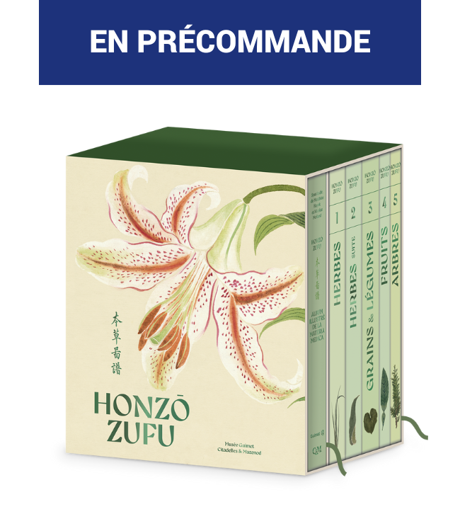 Honzo zufu